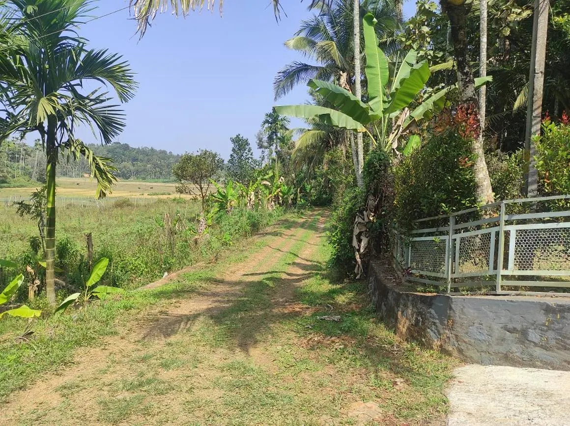 Bliss N Peace Villas Mananthavady